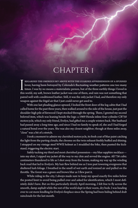 The Lightning Conjurer Special Edition Hardcover Omnibus