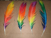 Biscuit Feather
